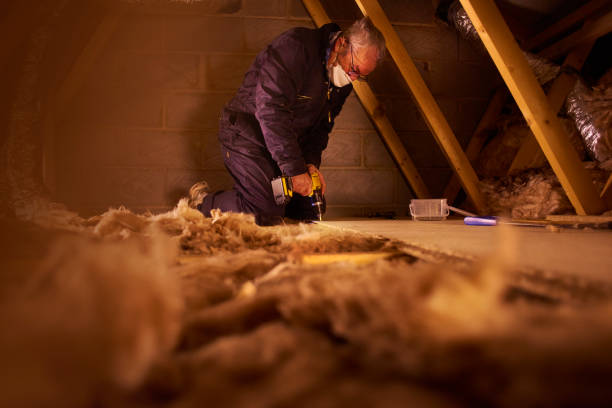Best Geographic-Specific Insulation Services in Village Green, NY